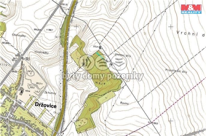 Prodej, Les, Držovice