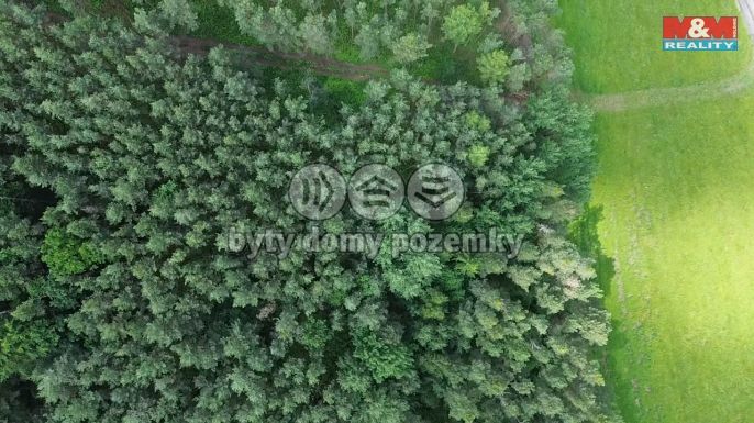 Prodej, Les, Chotilsko