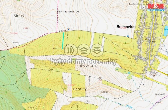 Prodej, Vinice, Brumovice