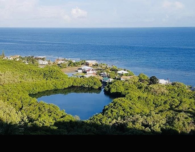 Prodej, Komerční pozemky, Roatan 