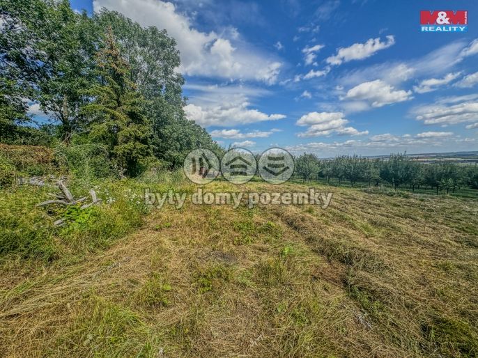 Prodej, Zahrada, Třebenice