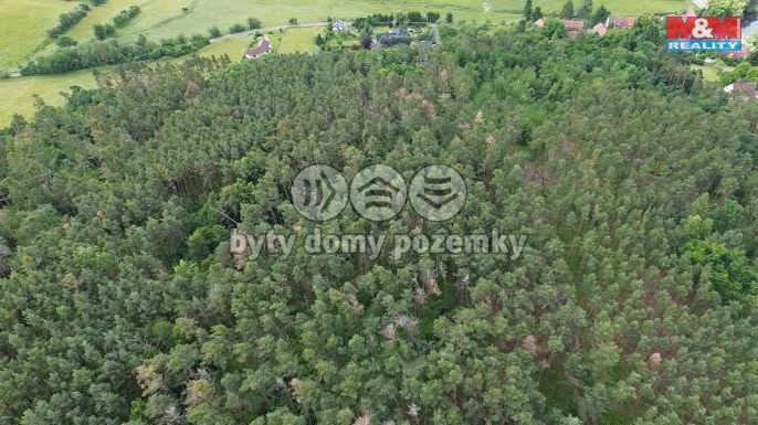 Prodej, Les, Chotilsko