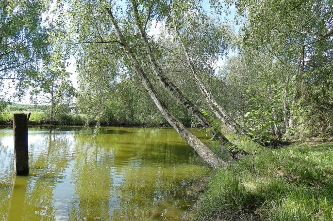 Prodej, Rodinný dům, Labské Chrčice