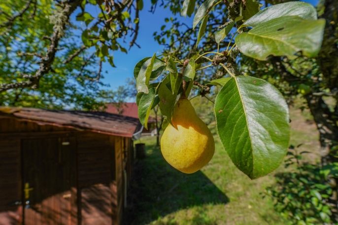 Prodej, Zahrada, Nalžovské Hory
