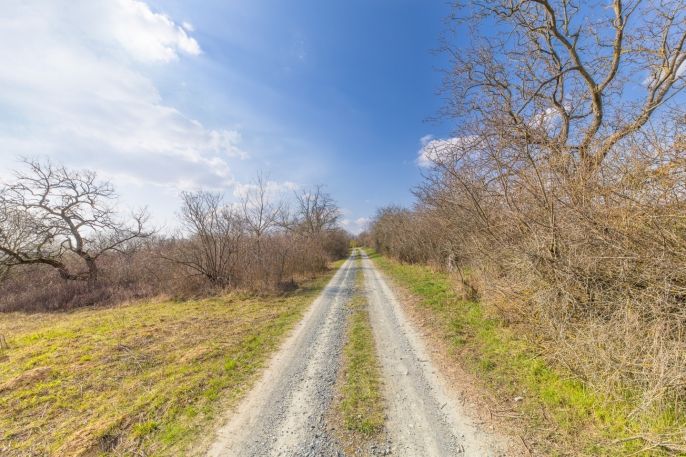 Prodej, Ovocný sad, Želešice