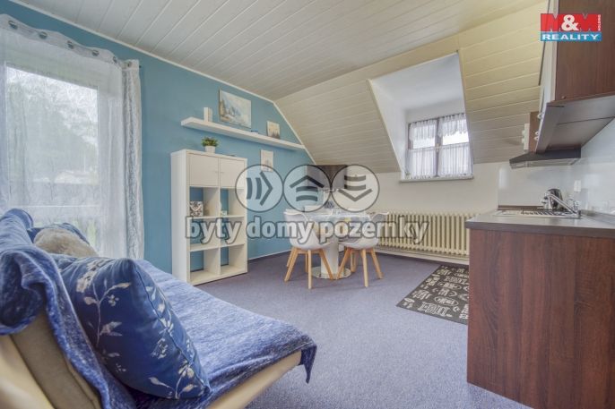 Prodej, Hotel, penzion, Železná Ruda