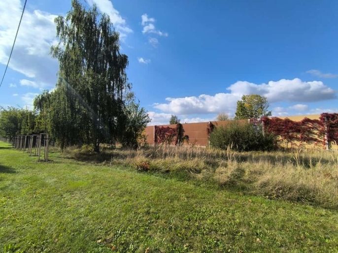 Pronájem, Zahrada, Pardubice