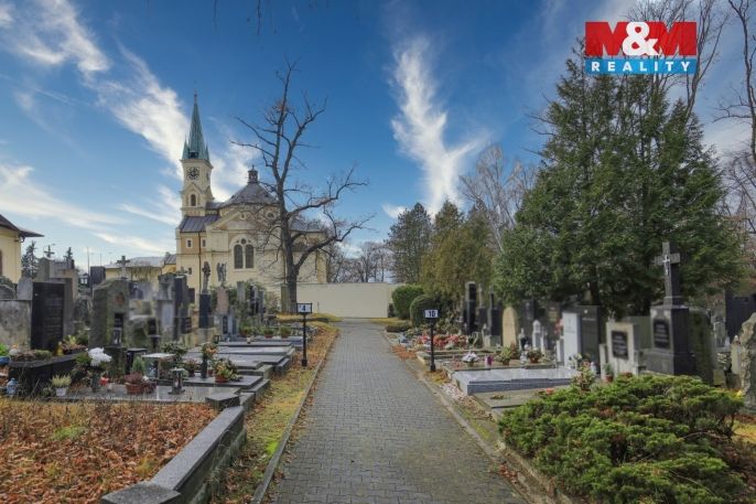 Prodej, Ostatní, Plzeň