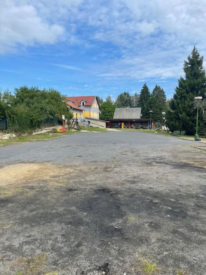 Pronájem, Hotel, penzion, Levín