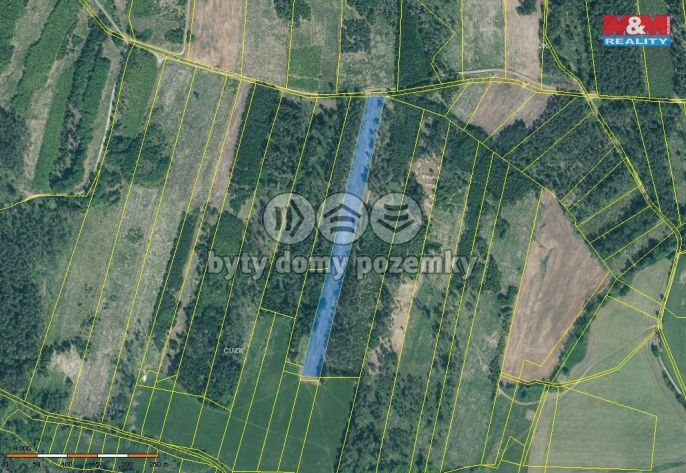 Prodej, Les, Jetětice