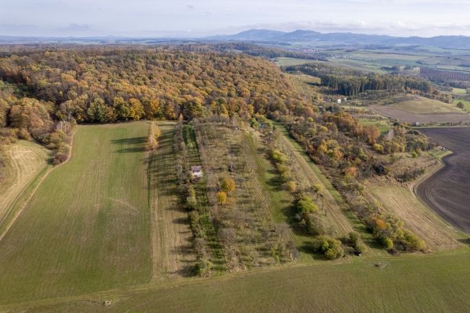 Prodej, Ovocný sad, Kostelec u Holešova
