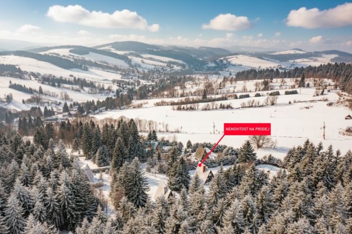 Prodej, Chata, Čenkovice