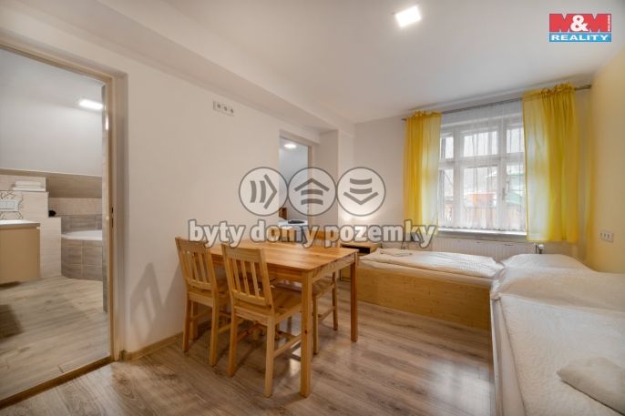 Prodej, Hotel, penzion, Bartošovice v Orlických horách