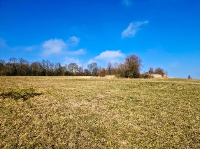 Prodej, Louka, Kozly