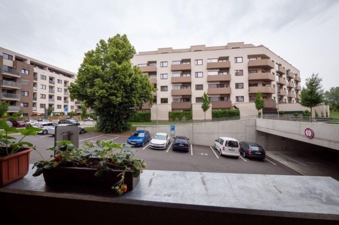 Pronájem, Byt 1+kk, Brno