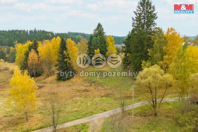 Prodej, Ostatní, Pila