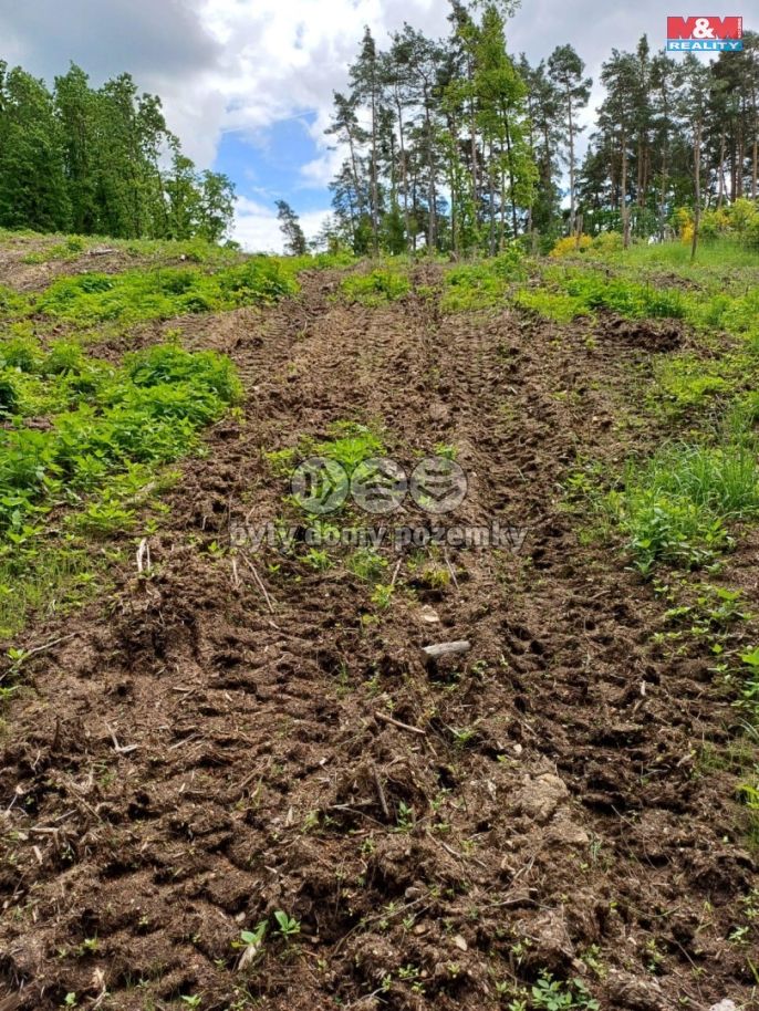 Prodej, Les, Hrazany