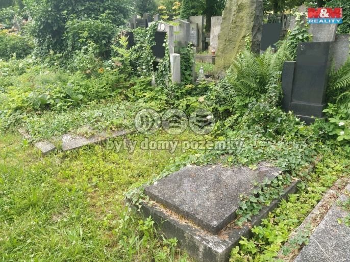 Prodej, Ostatní, Plzeň