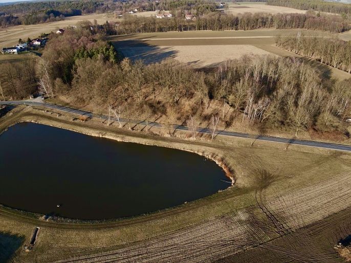 Prodej, Louka, Bošín