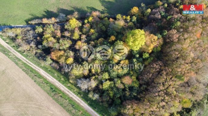 Prodej, Ovocný sad, Milešov