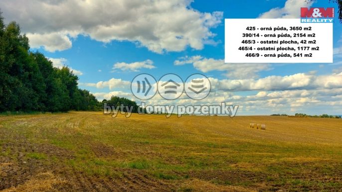 Prodej, Pole, Štoky