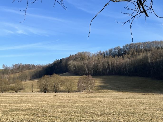 Prodej, Pozemek k bydlení, Náchod