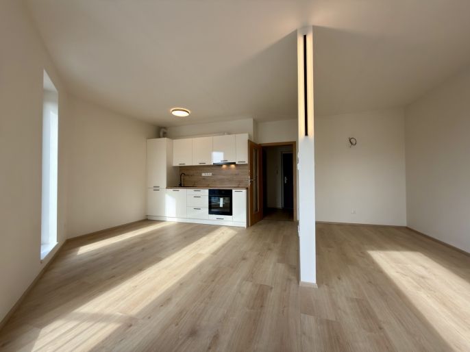 Pronájem, Byt 1+kk, České Budějovice