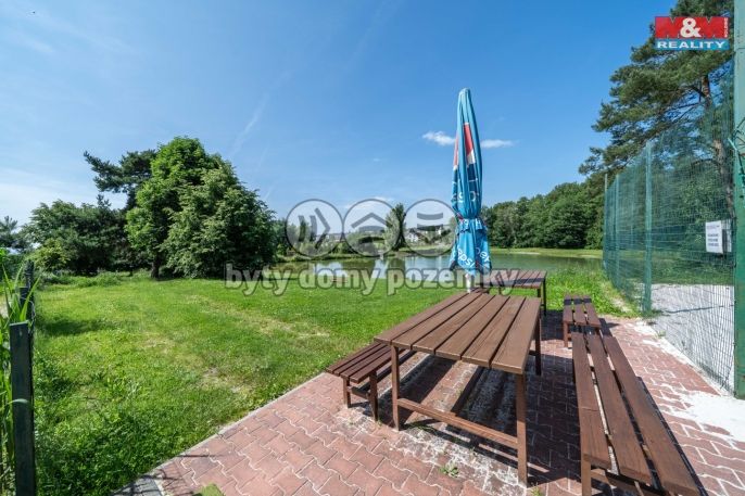 Pronájem, Ostatní, Letkov