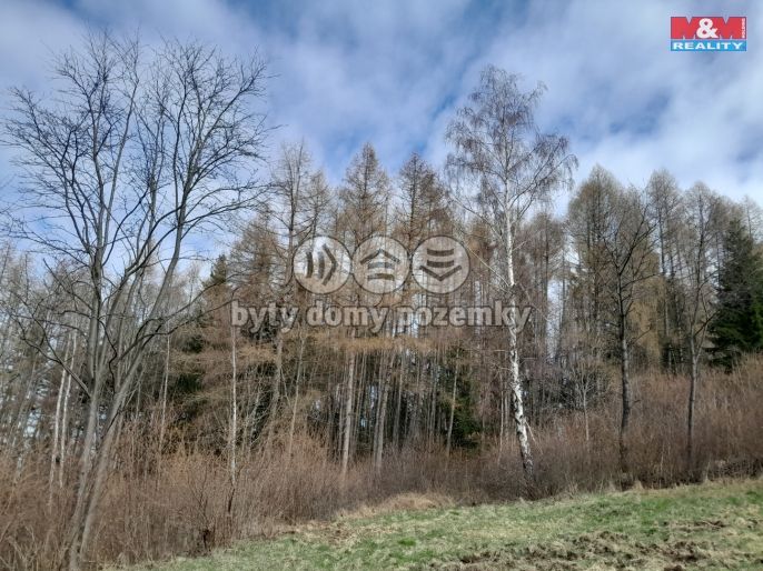 Prodej, Les, Zálezly