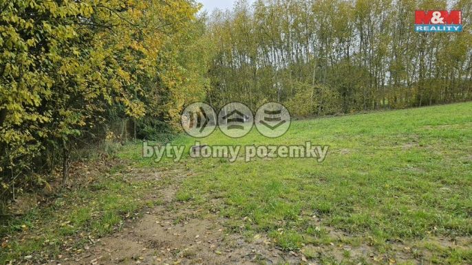 Prodej, Louka, Jedlí