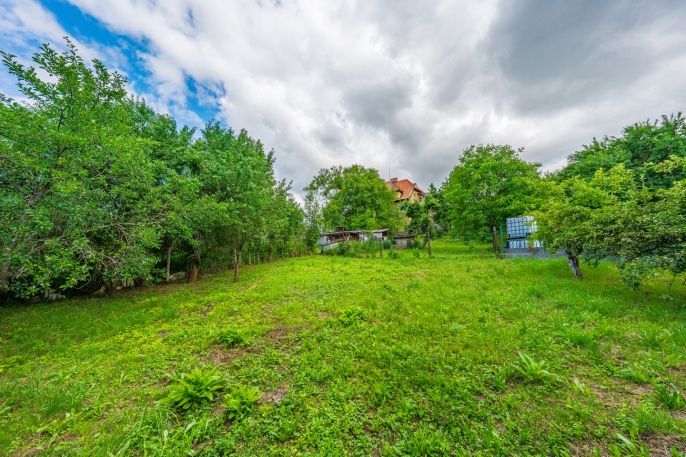 Prodej, Zahrada, Ludvíkovice