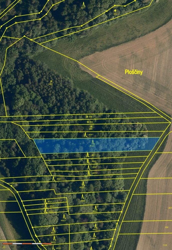 Prodej, Les, Hostišová