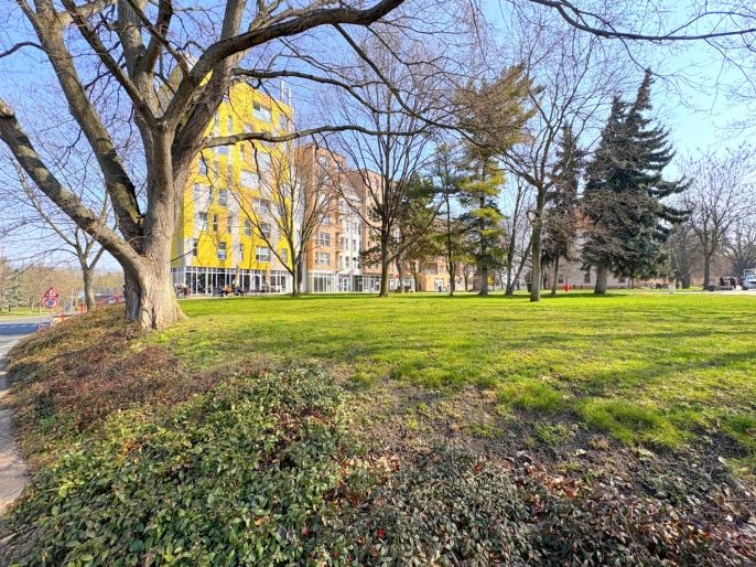 Prodej, Byt 2+kk, Lovosice