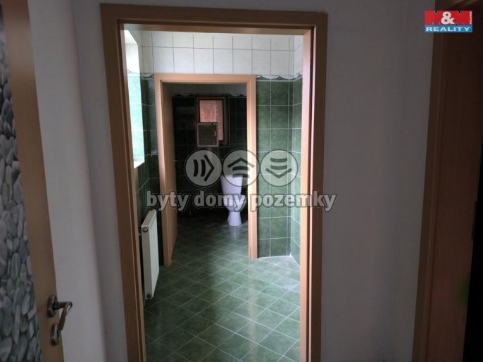 Pronájem, Obchod a služby, Břidličná