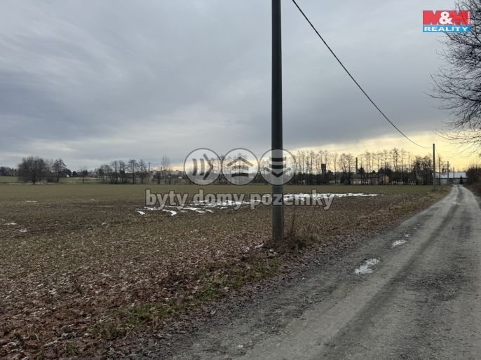 Prodej, Pole, Petrovice u Karviné