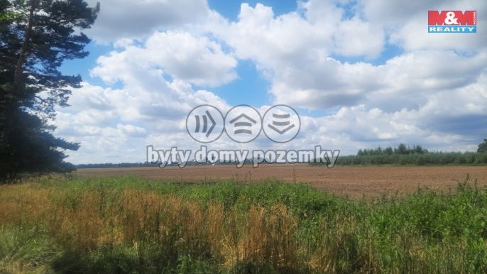 Prodej, Les, Březovice