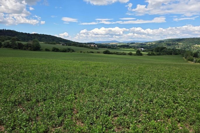 Prodej, Pole, Šemnice