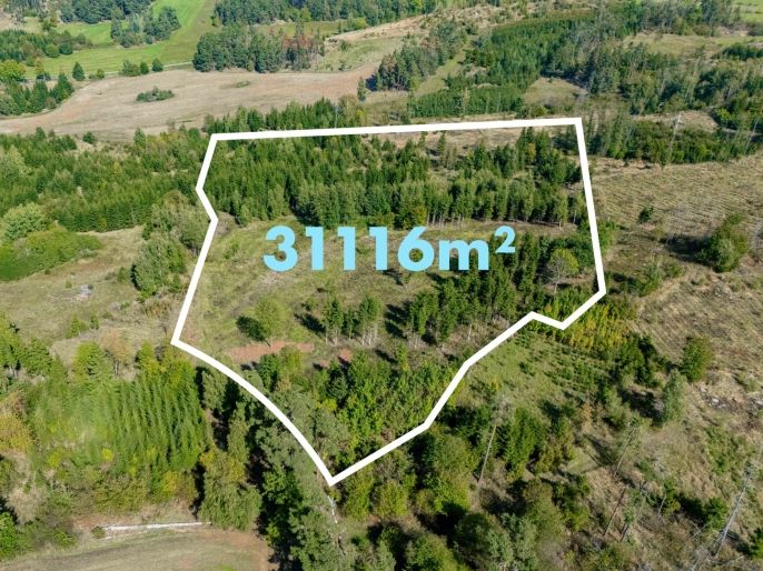 Prodej, Les, Horní Heřmanice