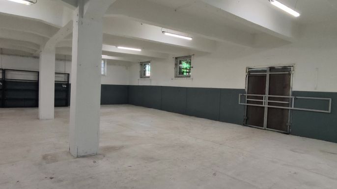 Pronájem, Výrobní objekt, Orlová