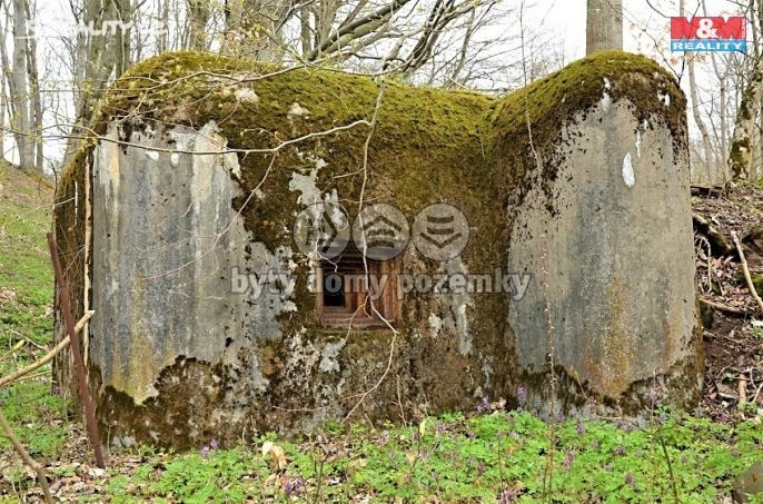 Prodej, Louka, Trutnov