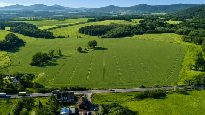 Prodej, Pole, Česká Lípa