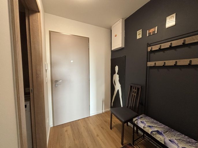 Pronájem, Byt 1+kk, Brandýs nad Labem-Stará Boleslav