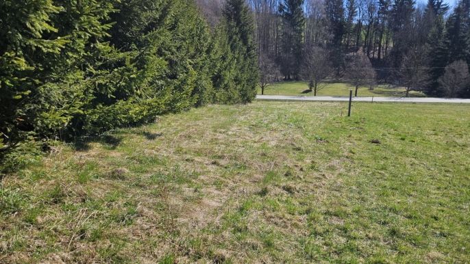 Prodej, Louka, Rokytnice v Orlických horách