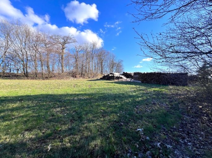 Prodej, Rodinný dům, Protivanov