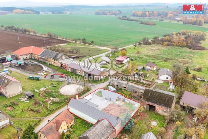 Prodej, Rodinný dům, Planá