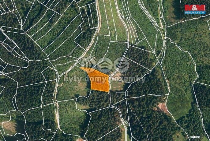 Prodej, Les, Lhota u Vsetína