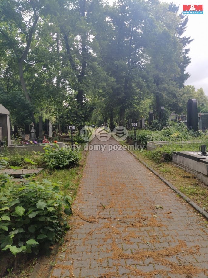 Prodej, Ostatní, Plzeň