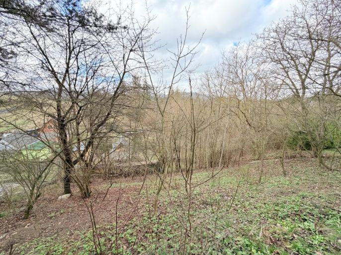 Prodej, Zahrada, Kosov