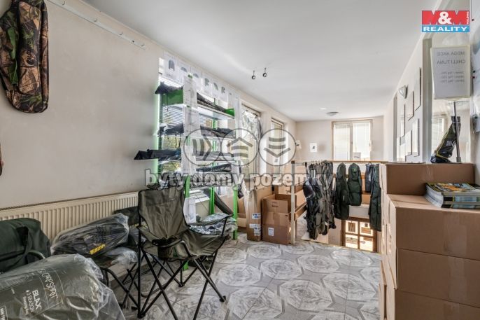 Prodej, Výrobní objekt, Štětí