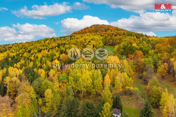 Prodej, Les, Skalice u České Lípy